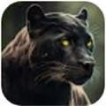 荒野豹动物生活模拟Wild Panther Animal Life Sim最新手游2023