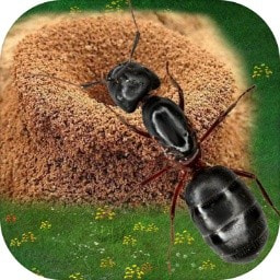 蚂蚁地下蚁国免费手游最新版本