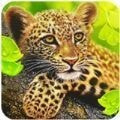 豹模拟(The Leopard)游戏客户端下载安装手机版