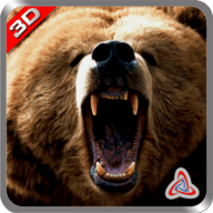 熊丛林攻击Bear Jungle Attack游戏安卓下载免费