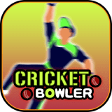 棒球投球手Cricket Bowler手游最新安卓版本