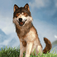 野狼模拟器3DWild Wolf Simulator 3D最新手游2022