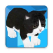 小猫无限楼梯(Kitten Infinite Stair)游戏下载