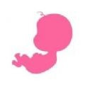 怀孕宝宝模拟器下载安装客户端正版