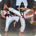 空手道格斗大师(Karate Fighting 2021)全网通用版